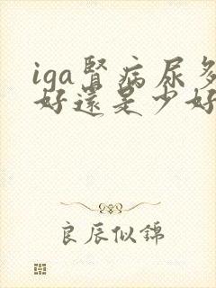 iga肾病尿多好还是少好