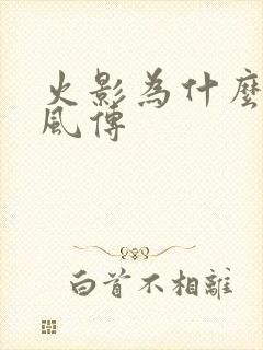 火影为什么叫疾风传