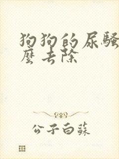 狗狗的尿骚味怎么去除