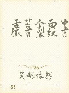 舌苔全白中间黄腻有裂纹有齿痕