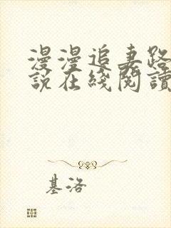 漫漫追妻路 小说在线阅读