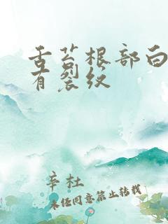 舌苔根部白腻厚有裂纹