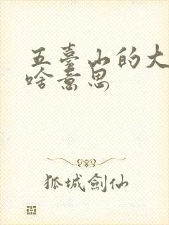 五台山的大朝台啥意思