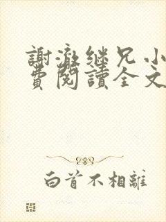 谢澈继兄小说免费阅读全文