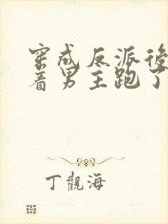 穿成反派后我扛着男主跑了小说