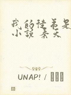 我的徒弟是女帝小说 秦天