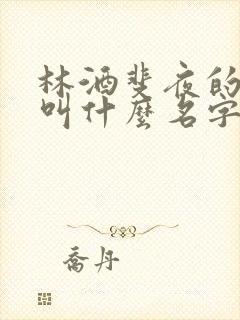林酒斐夜的小说叫什么名字