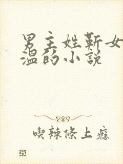 男主姓靳女主姓温的小说