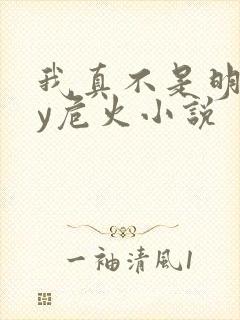 我真不是明君by危火小说