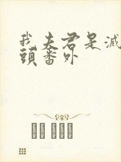 我夫君是灭世魔头番外