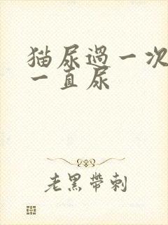 猫尿过一次地方一直尿