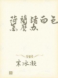 荷兰猪白色的尿怎么办