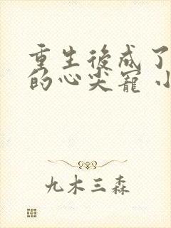 重生后成了大佬的心尖宠 小说