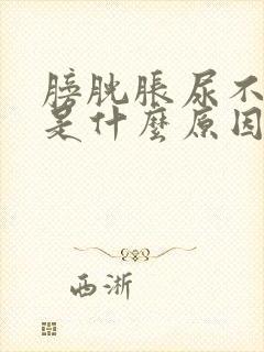 膀胱胀尿不出来是什么原因