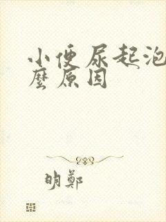 小便尿起泡是什么原因