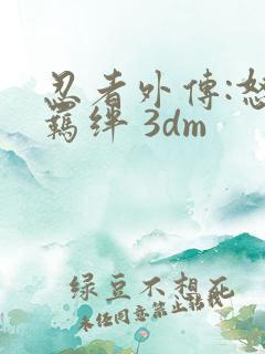 忍者外传:怒之羁绊 3dm