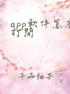 app软件怎么打开