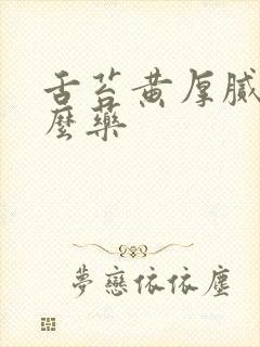 舌苔黄厚腻吃什么药