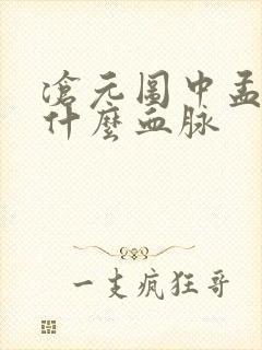 沧元图中孟川是什么血脉