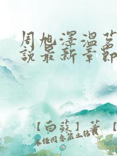 周旭泽温茗昭小说最新章节