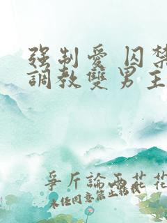 强制爱 囚禁 调教双男主