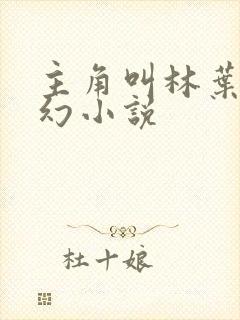 主角叫林叶的玄幻小说