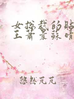 女总裁的贴身兵王萧晨苏晴