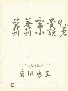 荣华富贵9小王莉莉小说免费阅读