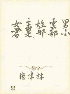 女主姓云男主姓君是哪部小说