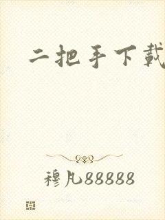 二把手下载