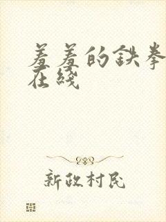 羞羞的铁拳免费在线