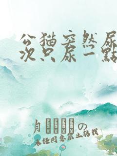 公猫突然尿频每次只尿一点