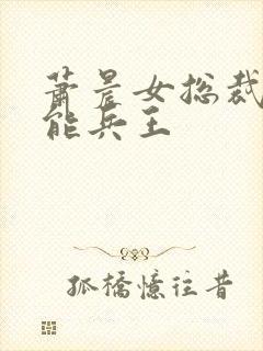 萧晨女总裁的全能兵王