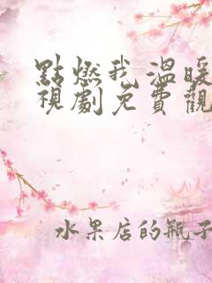 点燃我温暖你电视剧免费观看在线