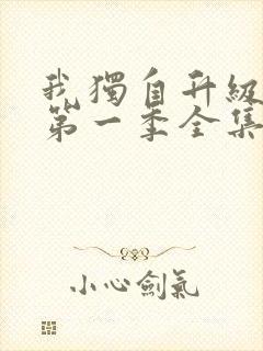 我独自升级动漫第一季全集免费观看