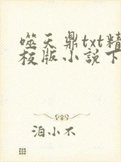 噬天鼎txt精校版小说下载