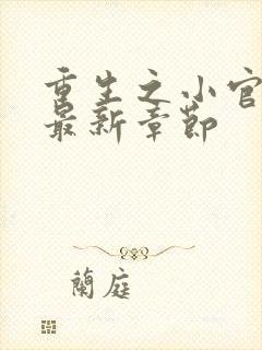 重生之小官千金最新章节