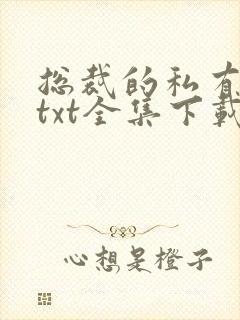 总裁的私有宝贝txt全集下载