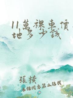 11万裸车价落地多少钱