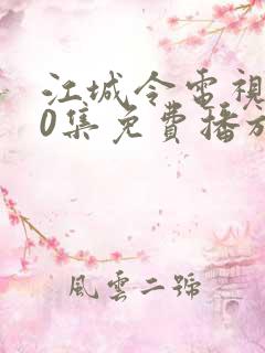 江城令电视剧40集免费播放