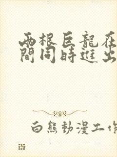 两根巨龙在她腿间同时进出