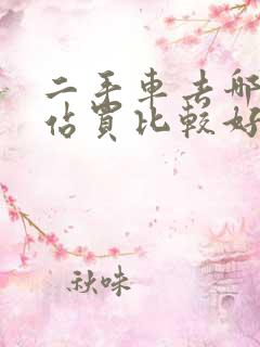 二手车去哪个网站买比较好