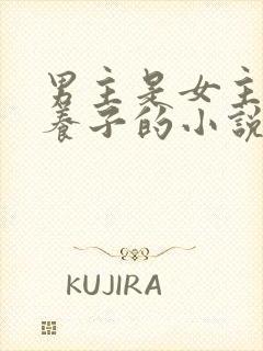 男主是女主家的养子的小说