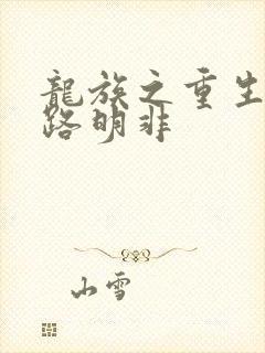 龙族之重生冷漠路明非