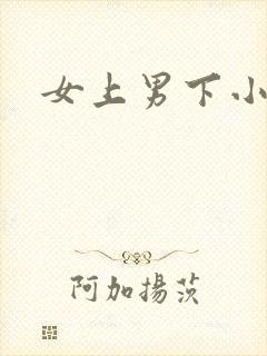 女上男下小说