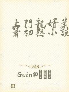 上门龙婿叶辰,萧初然小说阅读