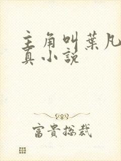 主角叫叶凡的修真小说