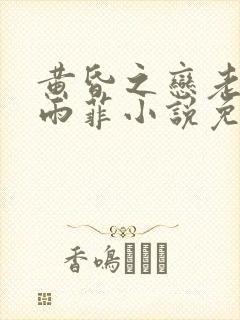 黄昏之恋老赵孙雨菲小说免费阅读全文