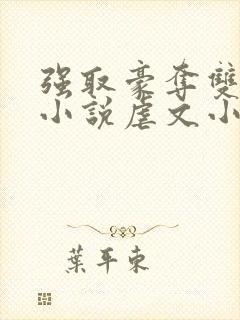 强取豪夺双男主小说虐文小说推荐