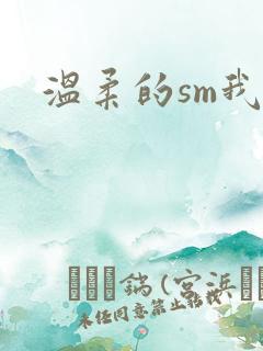 温柔的sm我